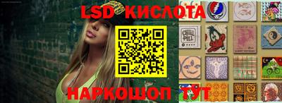 шишки Краснодар