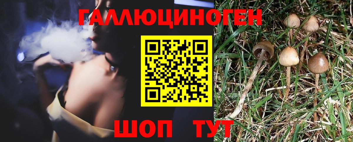 Галлюциногенные грибы MAGIC MUSHROOMS  Вход с VPN  Донецк 